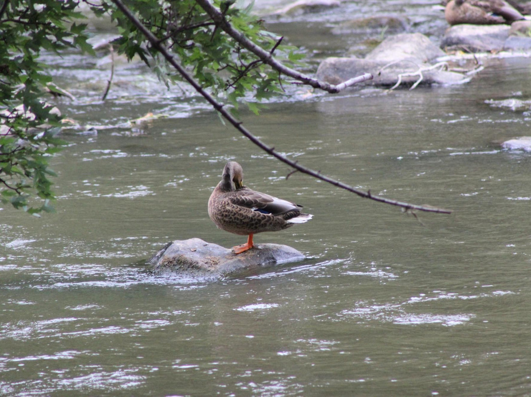Baraboo Riverwalk-巴拉布必去景点