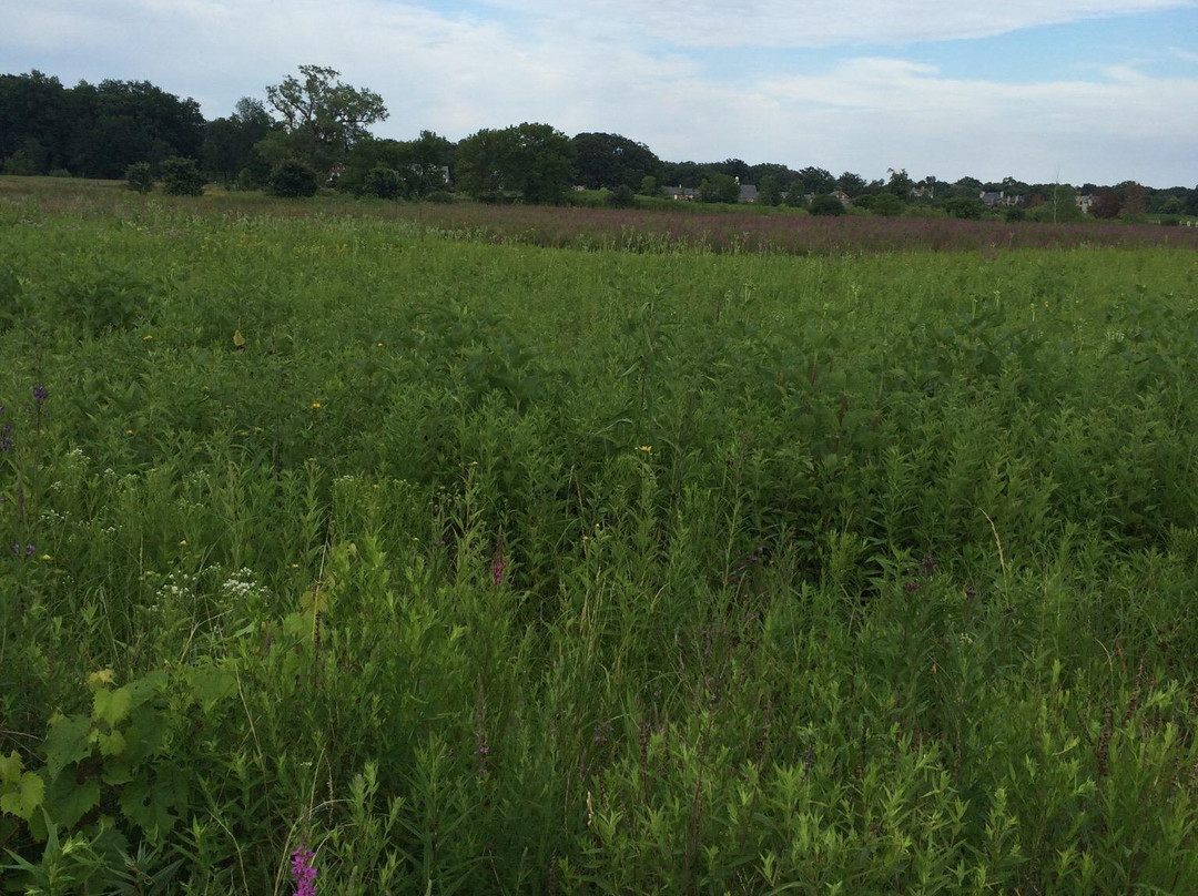 Wildlife Discovery Center-Lake Forest必去景点