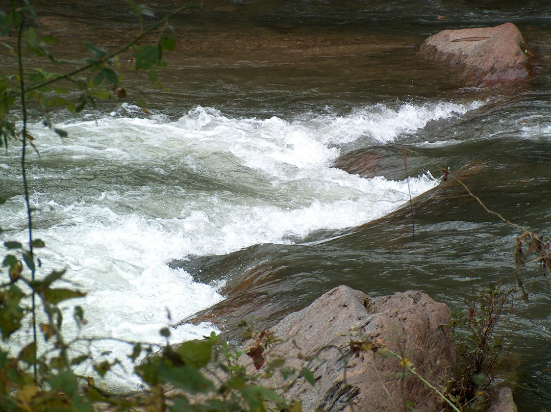 Virginia Blue Ridge Railway Trail-Piney River必去景点