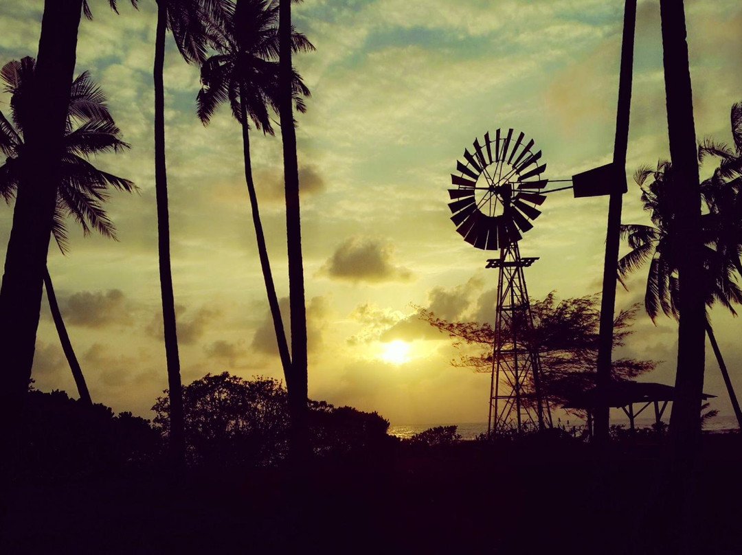 Millbrook House Terengganu主图