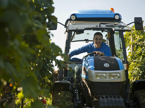 Cantina Rapino-Francavilla Al Mare必去景点