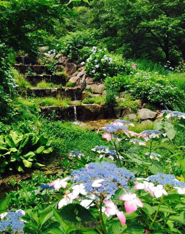 Hiruzen Herb Garden Herbill景点图片