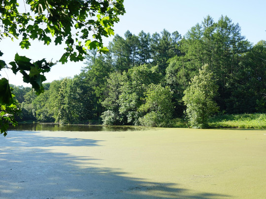 Bogucharovo Architectural Complex-Oktyabrsky必去景点