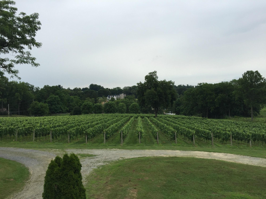 Galer Estate Vineyard and Winery景点图片