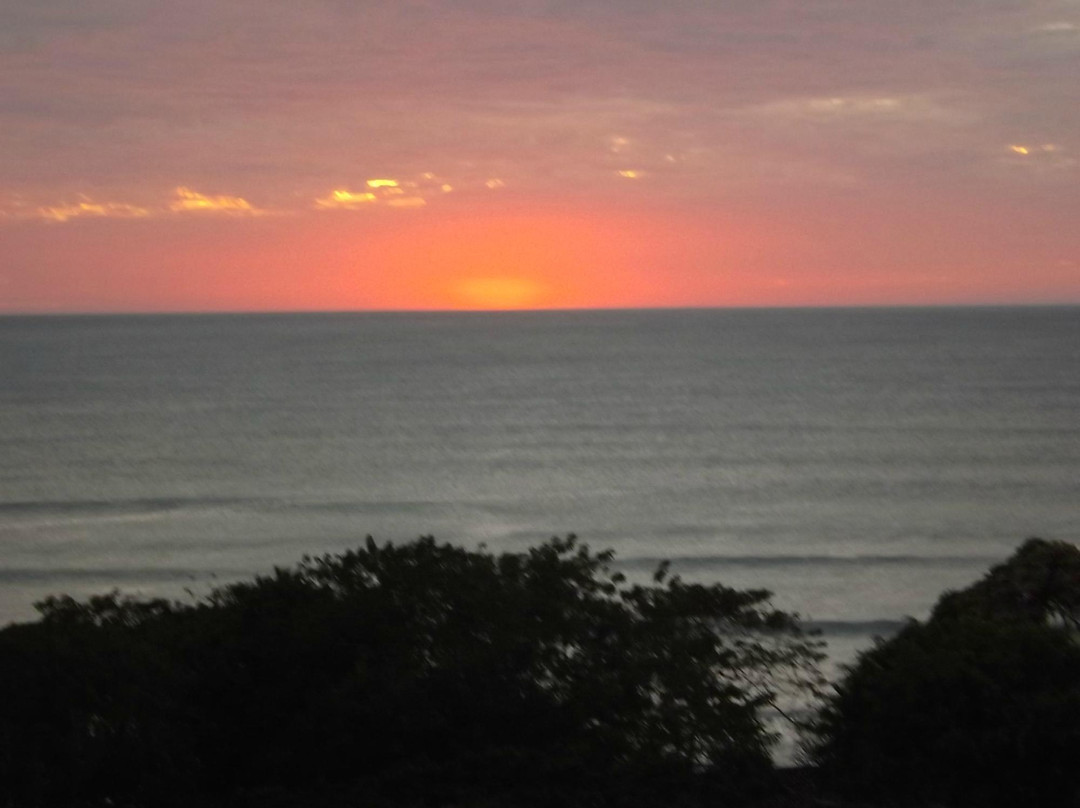 Revive Wellness Center at Langosta Beach Club-塔马林多必去景点