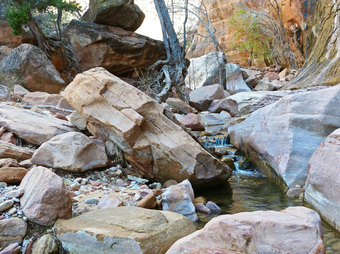 Lower Pine Creek Waterfall-斯普林代尔必去景点