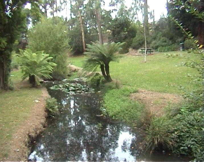 Pearl Park-福斯特必去景点