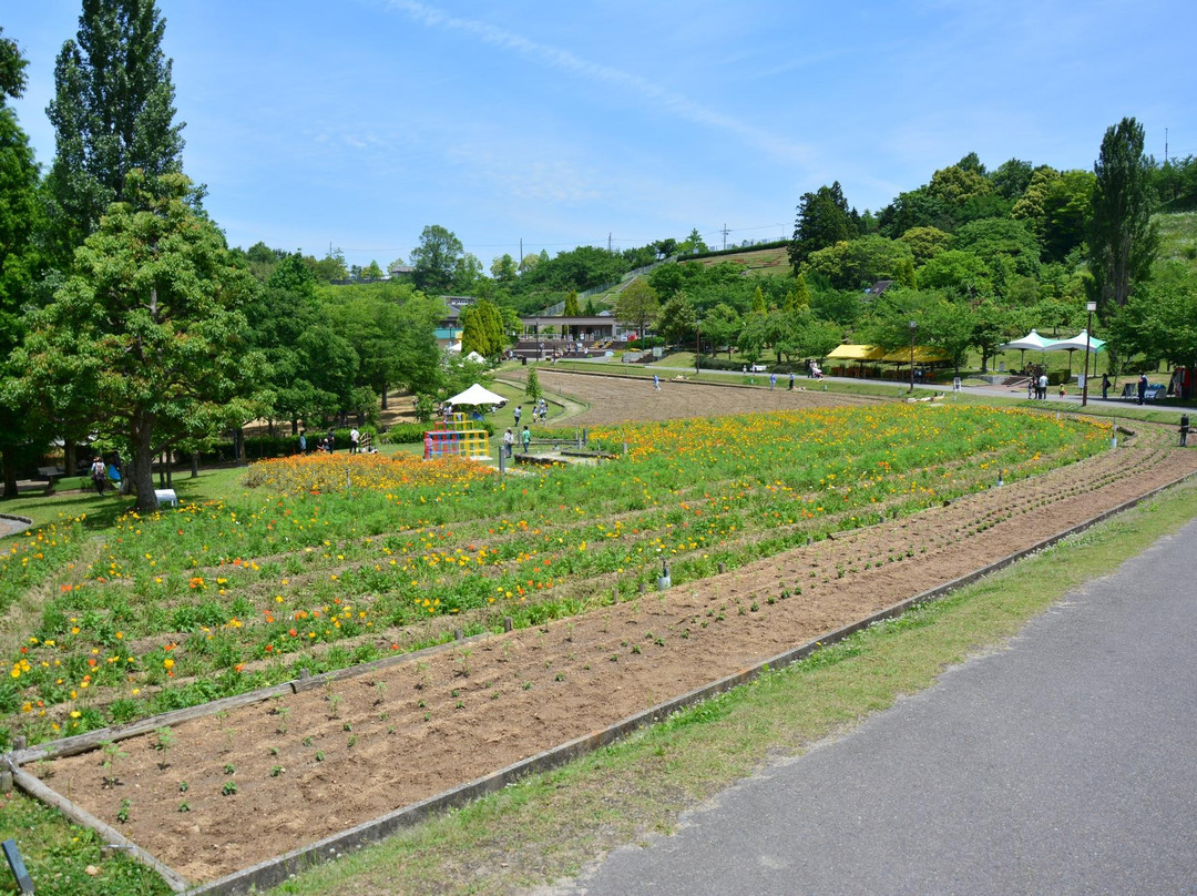 Tondabayashi Savor Farm-富田林市必去景点