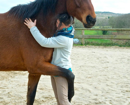 Cheval Broceliande-Trehorenteuc必去景点