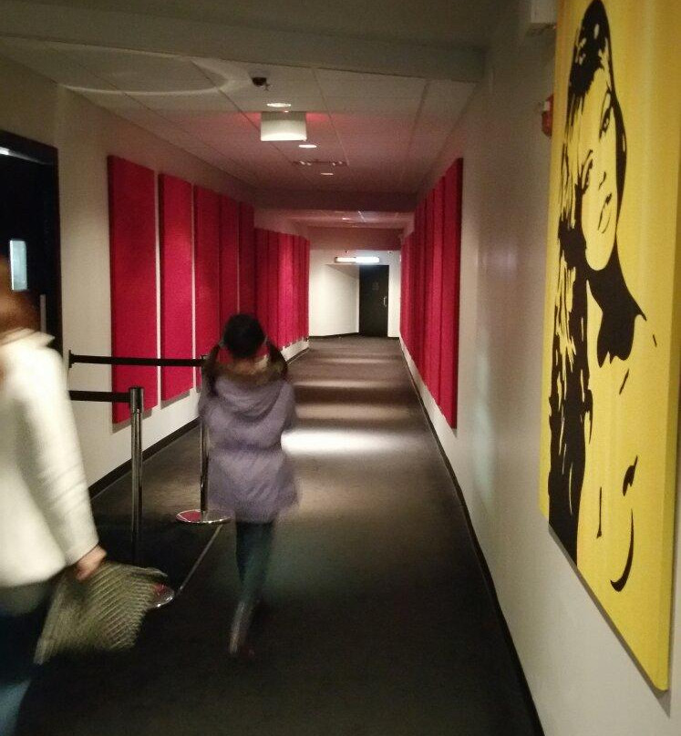 Paragon Arlington Heights-阿灵顿海茨必去景点