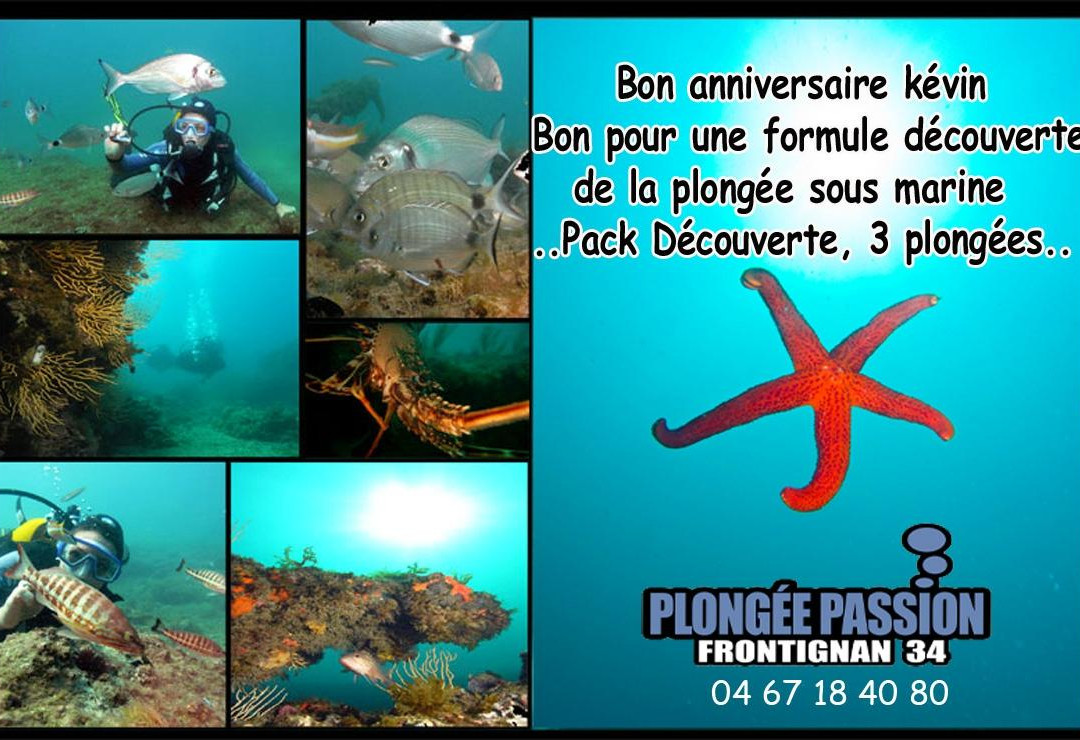 Plongée Passion景点图片