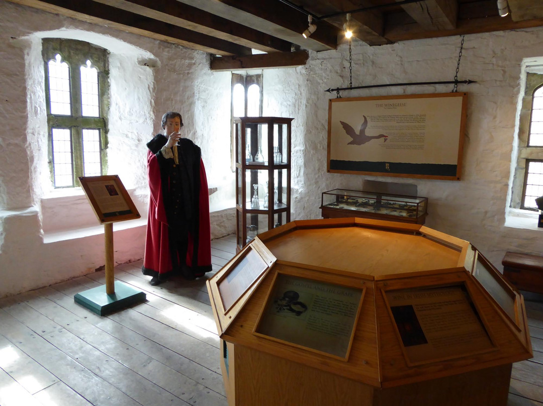 Desmond Castle & International Museum of Wine-金塞尔必去景点