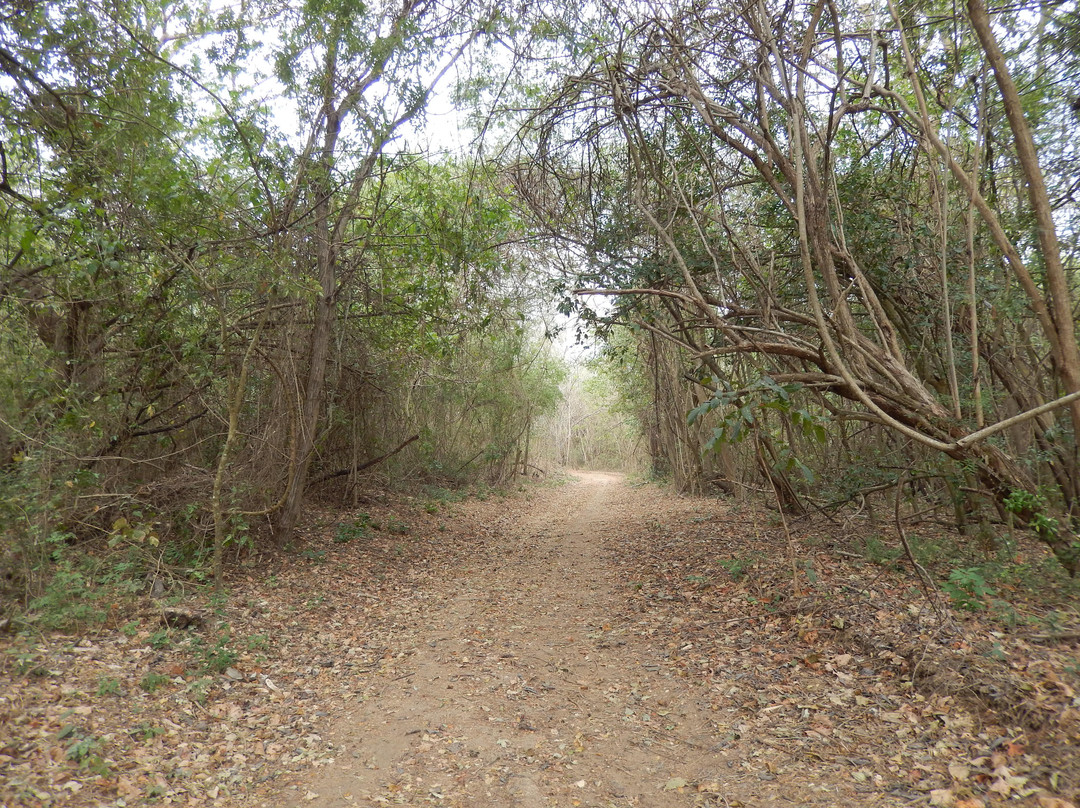 Easy Bikes Huatulco-Crucecita必去景点