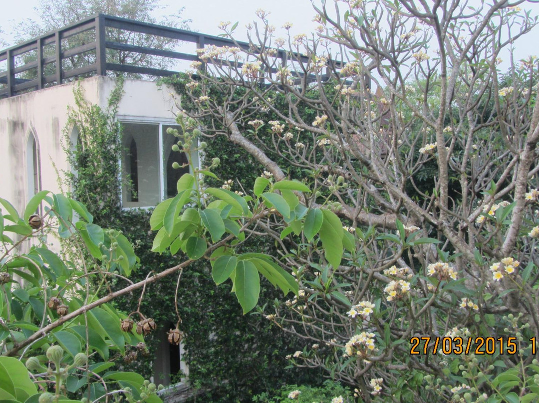 Ayutthaya Buri Dhevi主图