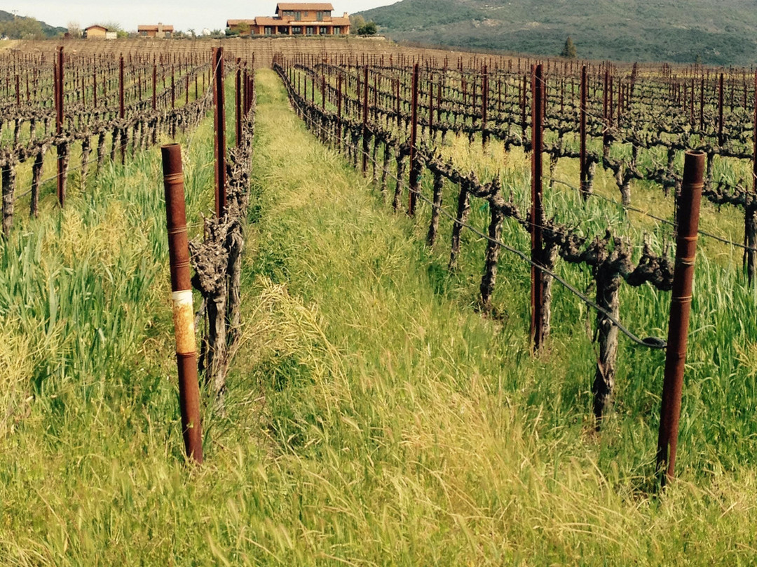 NorCal Destinations Private Day Tours-安条克必去景点