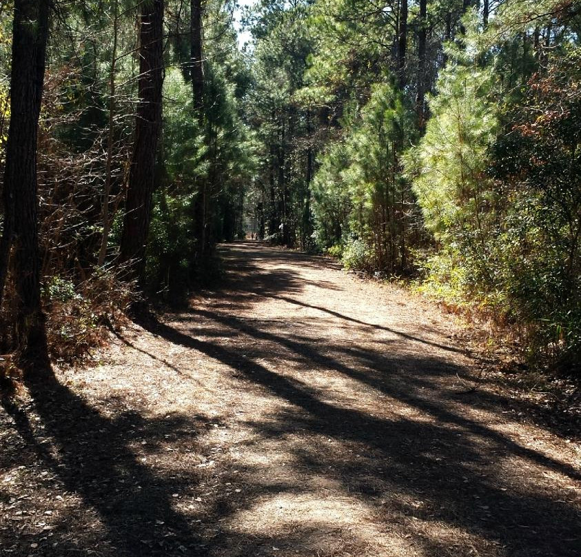 Laurel Hill County Park景点图片