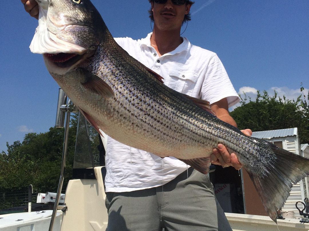 Xtreme Strike Guide Service-温泉城必去景点