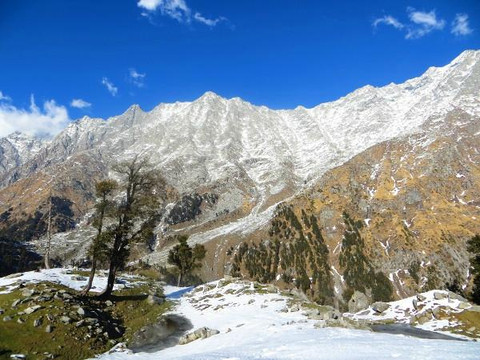 Bharmour酒店住宿-Chinar Soul House