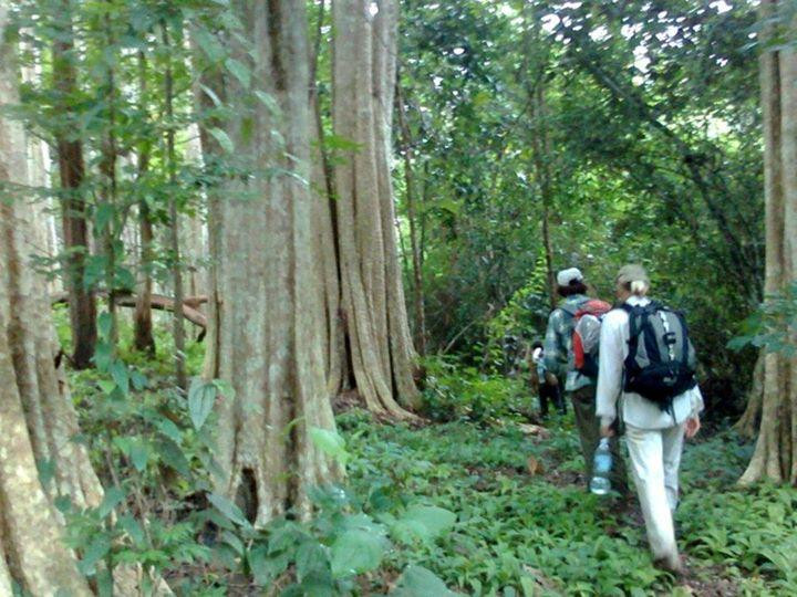 Banlung Jungle Trekking Tours-邦隆必去景点