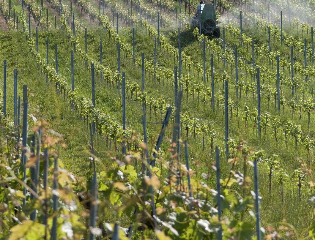 Domaine du Daley-吕特里必去景点