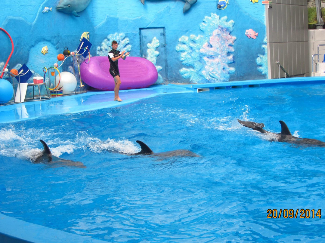 Dolphinarium Akvarel-阿卢什塔必去景点