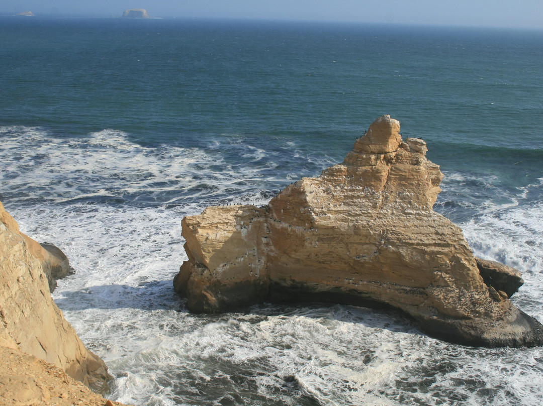 La Catedral-帕拉卡斯必去景点
