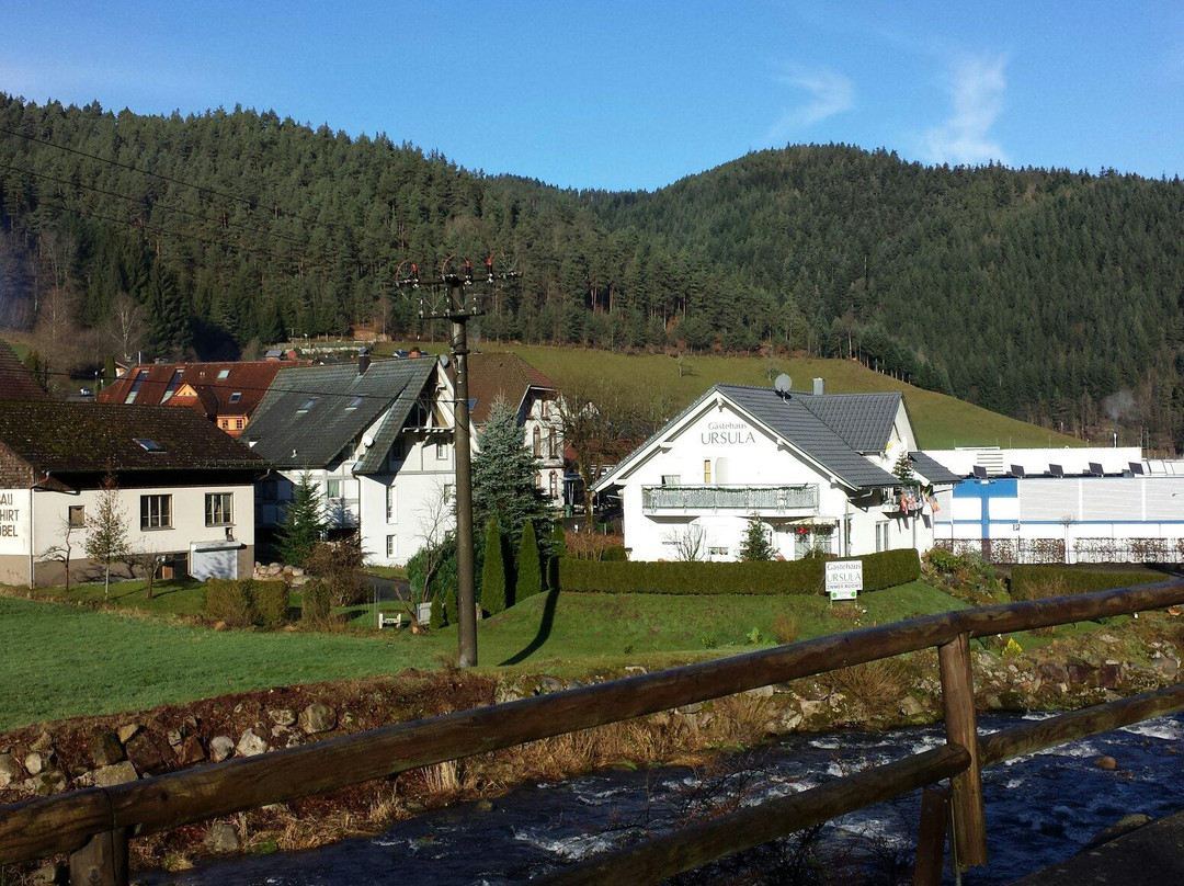 Hornberg酒店住宿-Gästehaus Ursula