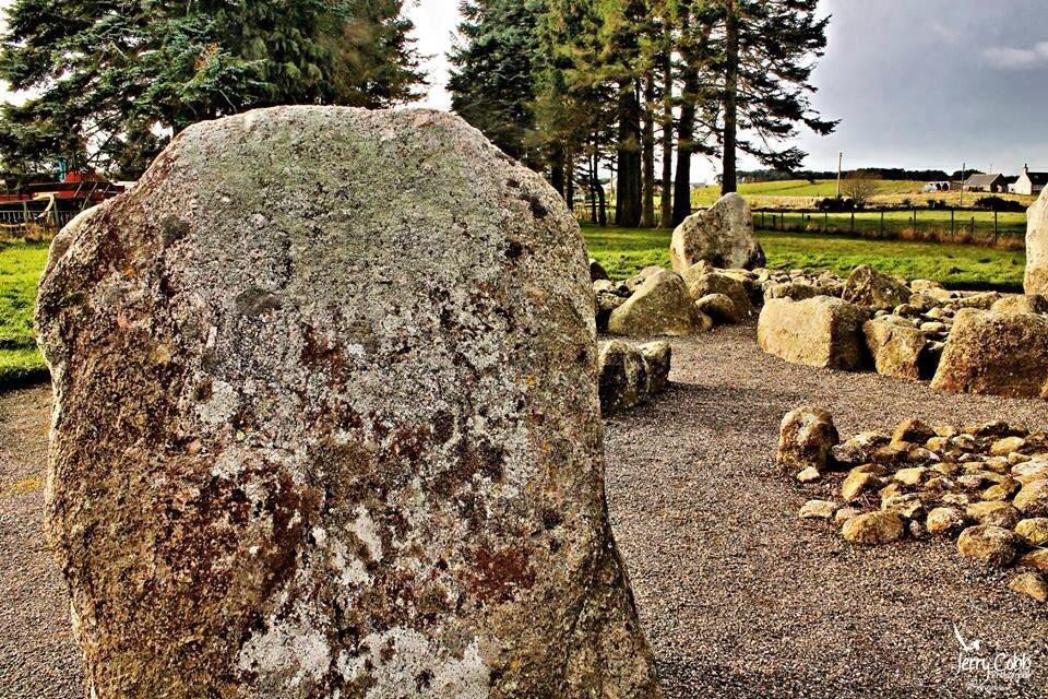 Cullerlie Stone Circle景点图片