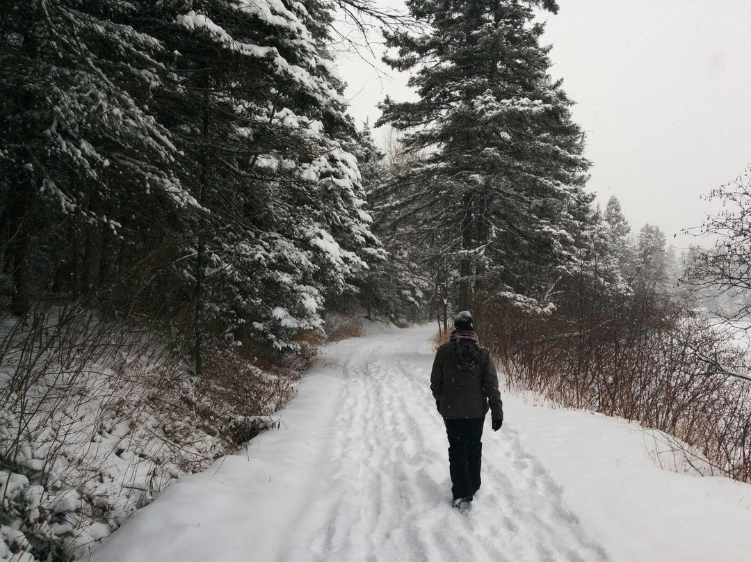 Parc de la Rivière du Moulin景点图片