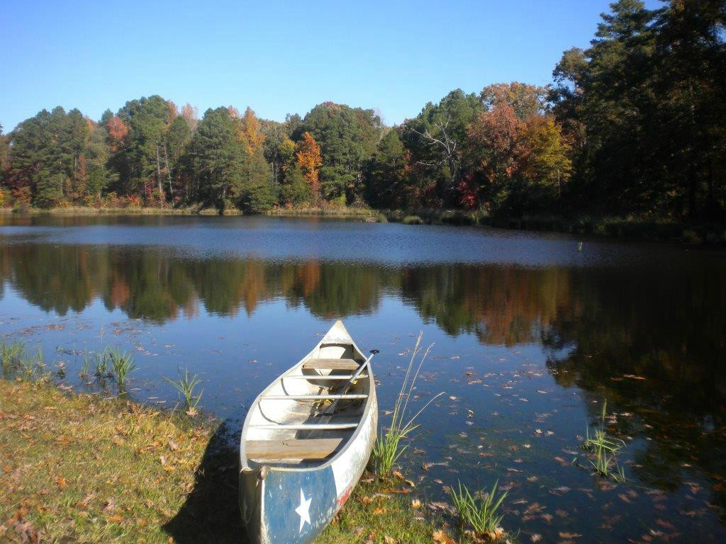 Pine Grove Cottages主图