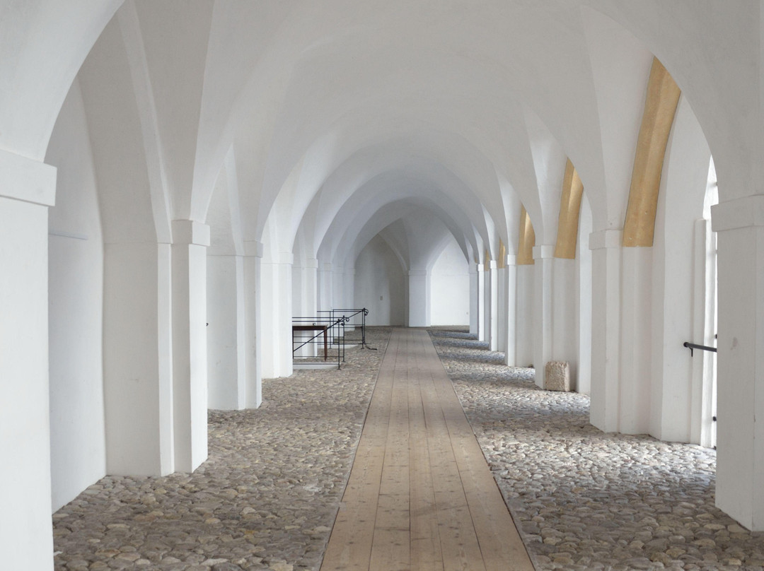 Museum Mondseeland Und Osterreichisches Pfahlbaumuseum-月亮湖必去景点