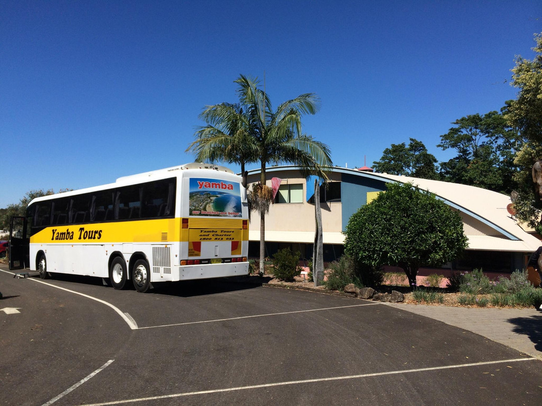 Yamba Tours-Yamba必去景点