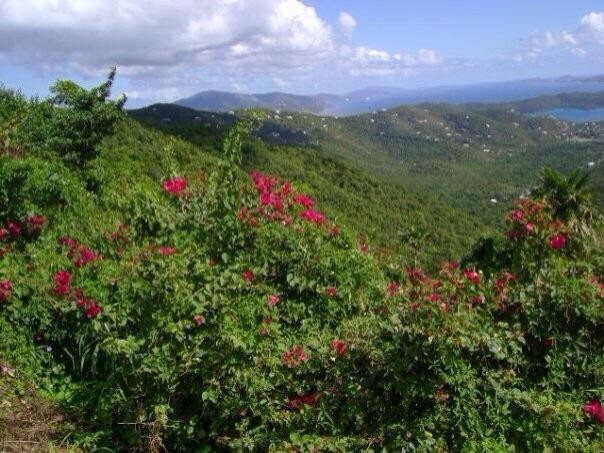 Bordeaux Mountain Trail-维尔京群岛国家公园必去景点