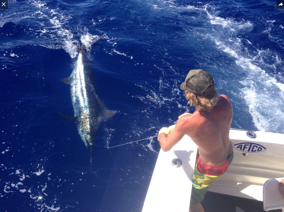 Nemesis Sport Fishing-埃里埃利必去景点