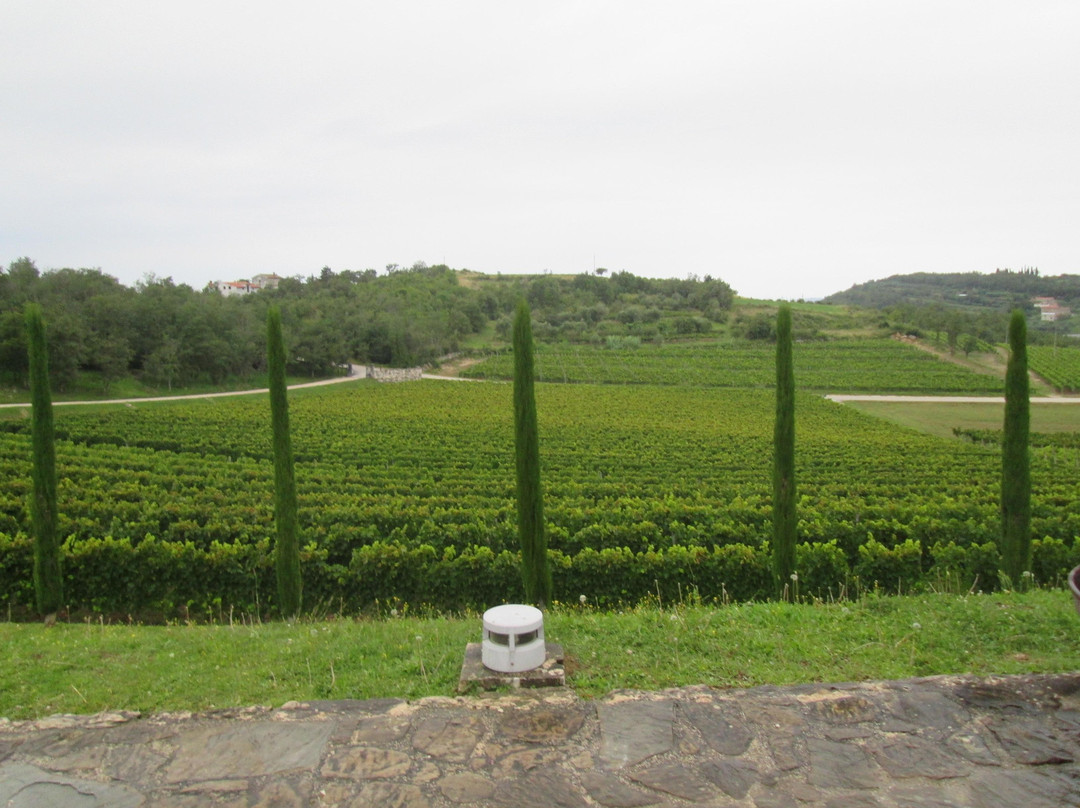 Kabola Winery-Momjan必去景点