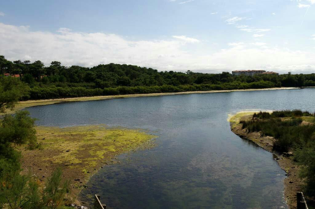 Parc Ecologique Izadia景点图片