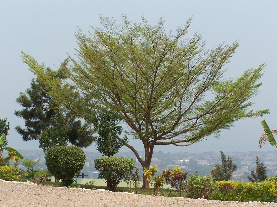 Monument de l'Unité-布松布拉必去景点