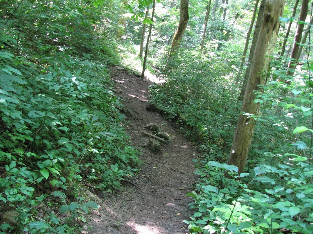 John Bryan State Park-Yellow Springs必去景点