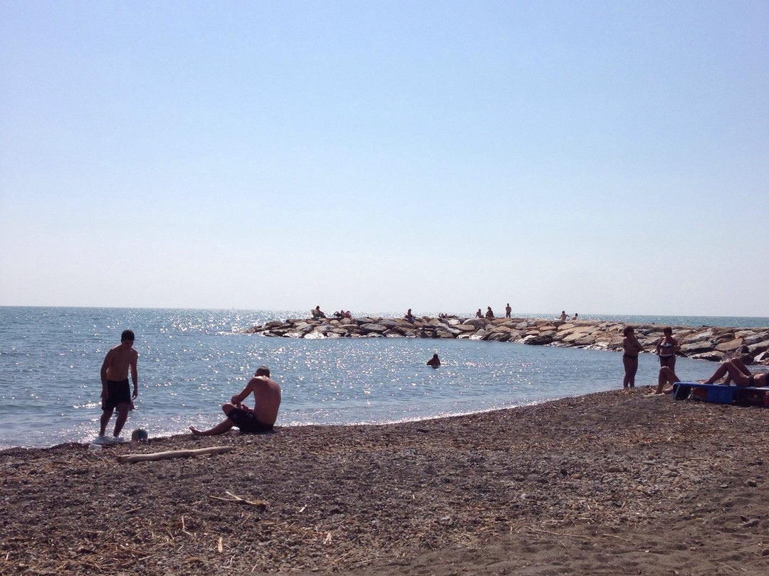 Bagni Il Delfino景点图片