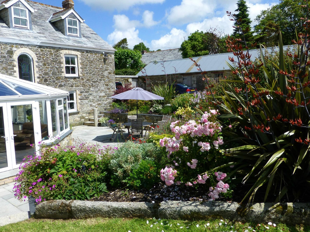 St. Breward酒店住宿-Treveighan Farmhouse B&B