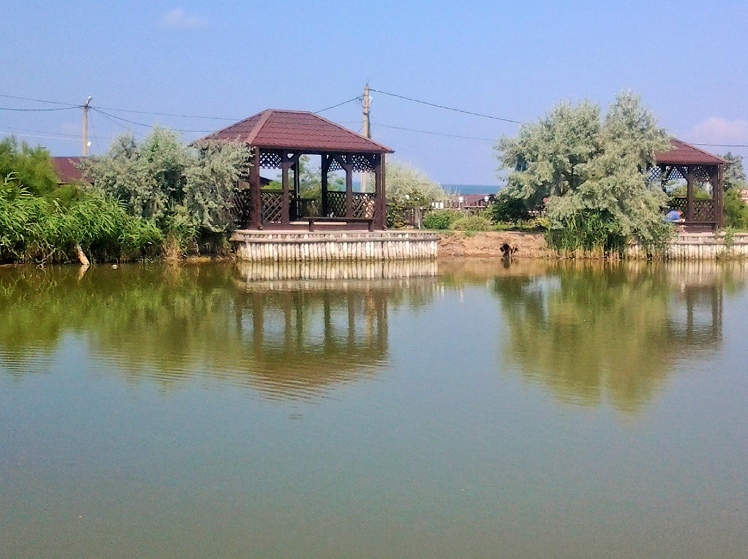 Tizdar Mud Volcano景点图片