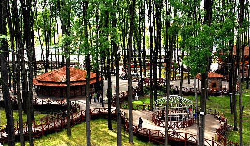 Orman Park