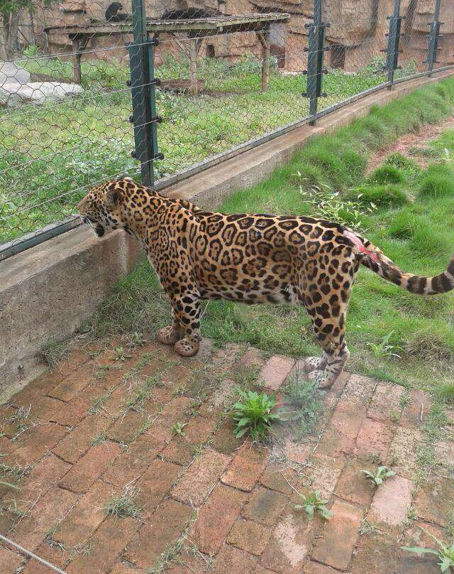 韶山滴水洞-韶山市必去景点