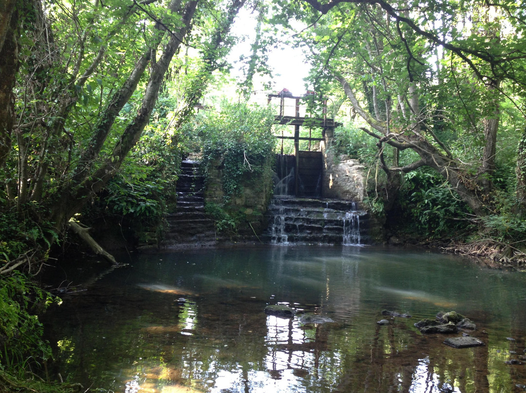 Mangerton Mill-布里德波特必去景点