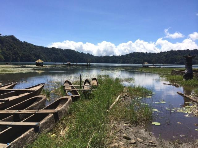 Munduk Wilderness - Day Tours-登巴萨必去景点