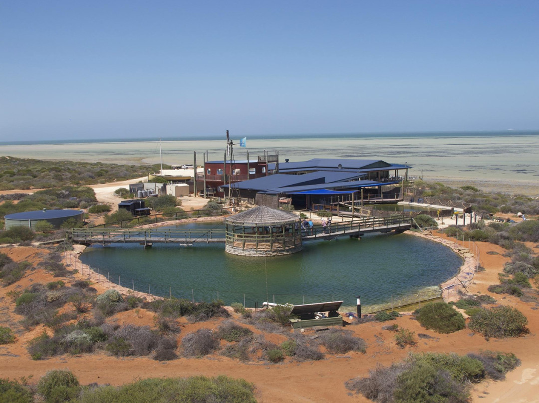 Ocean Park Aquarium-德纳姆必去景点