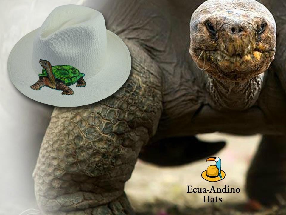 Ecua-Andino Galápagos-Baltra必去景点