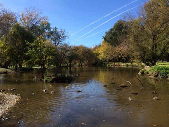 Tumut River景点图片