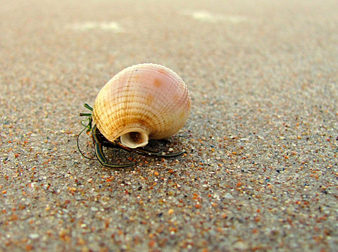 Praia De Taquari-Valenca必去景点