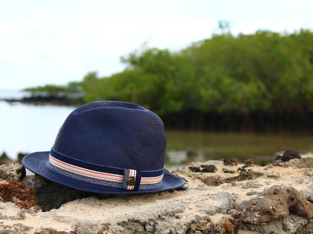 Ecua-Andino Galápagos-Baltra必去景点